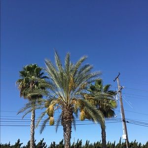 Meet your Posher, Elias